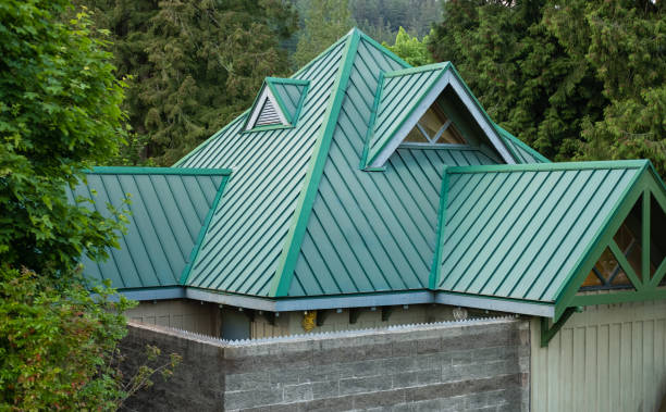 Best Gutter Installation and Repair  in Citrus Hills, FL