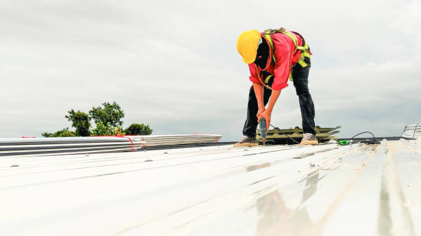 Best Rubber Roofing (EPDM, TPO)  in Citrus Hills, FL