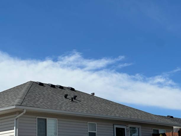 Best Roof Coating and Sealing  in Citrus Hills, FL